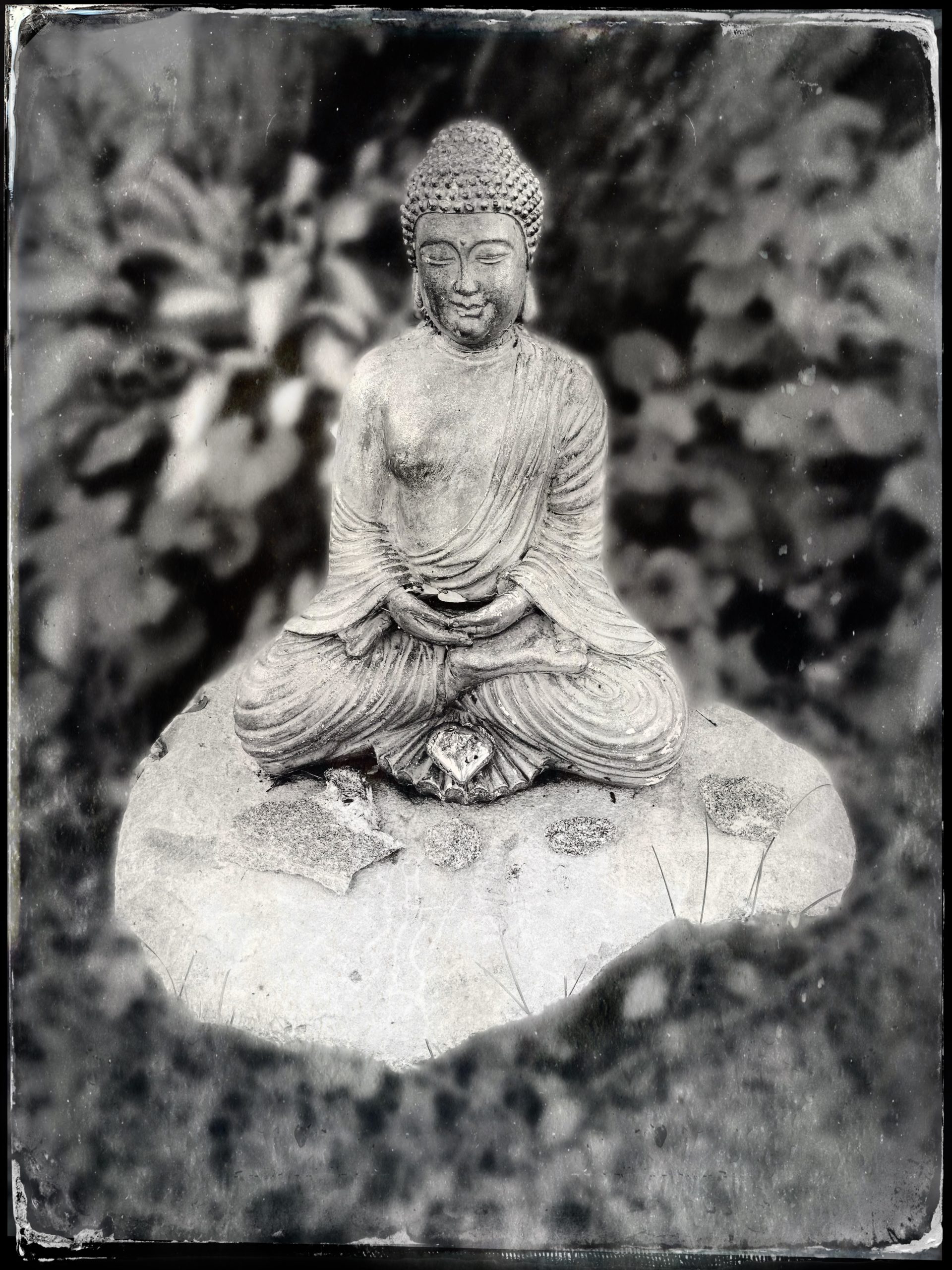 BUDDHISM 1 (AP)